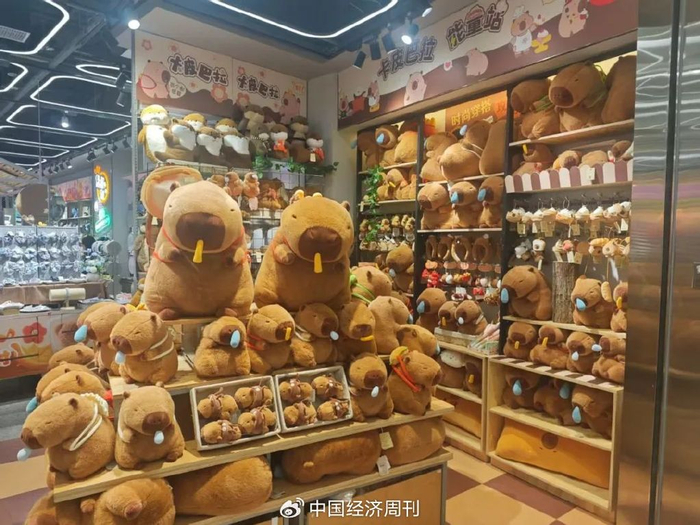 潮玩店一角（崔晓萌摄）