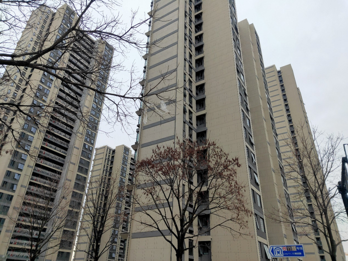 处于品质漩涡中的上海天元府项目。徐凡淋/摄