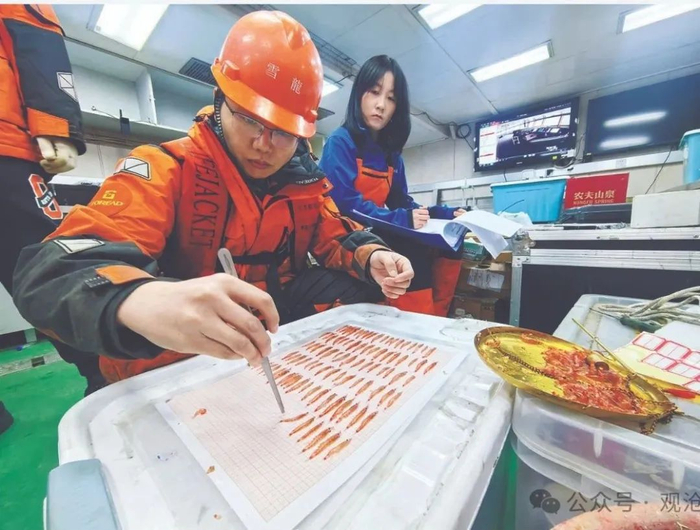 大洋队队员进行磷虾生物学测定。曹悦妮摄