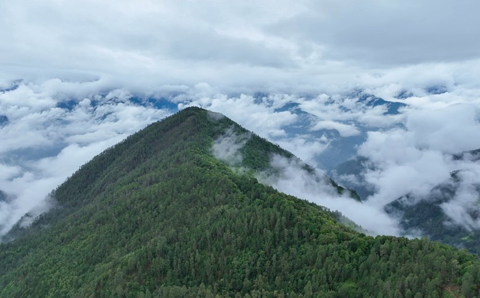云龙天池保护区风景。云南云龙天池国家级自然保护区管护局供图