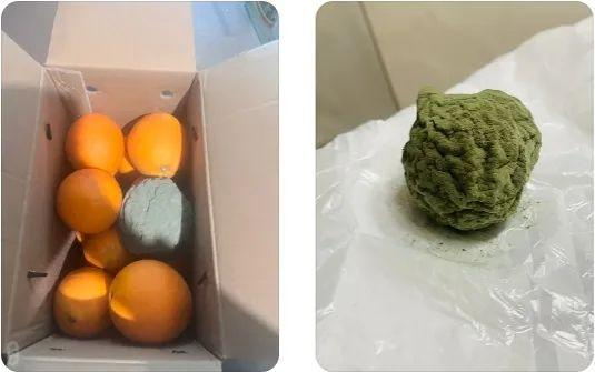 网友们晒出来的发霉柑橘。社交平台截图