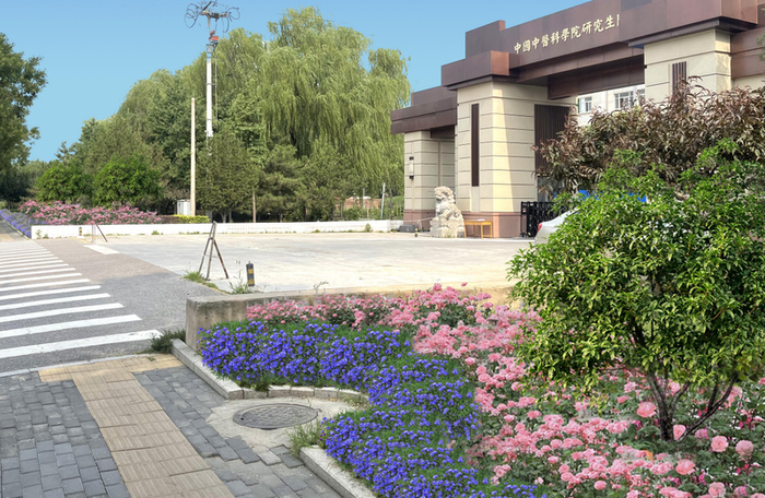 中医科学院门口效果图。平谷区委宣传部供图