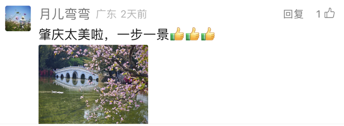 △ 以上截图来自“肇庆发布”文章评论区