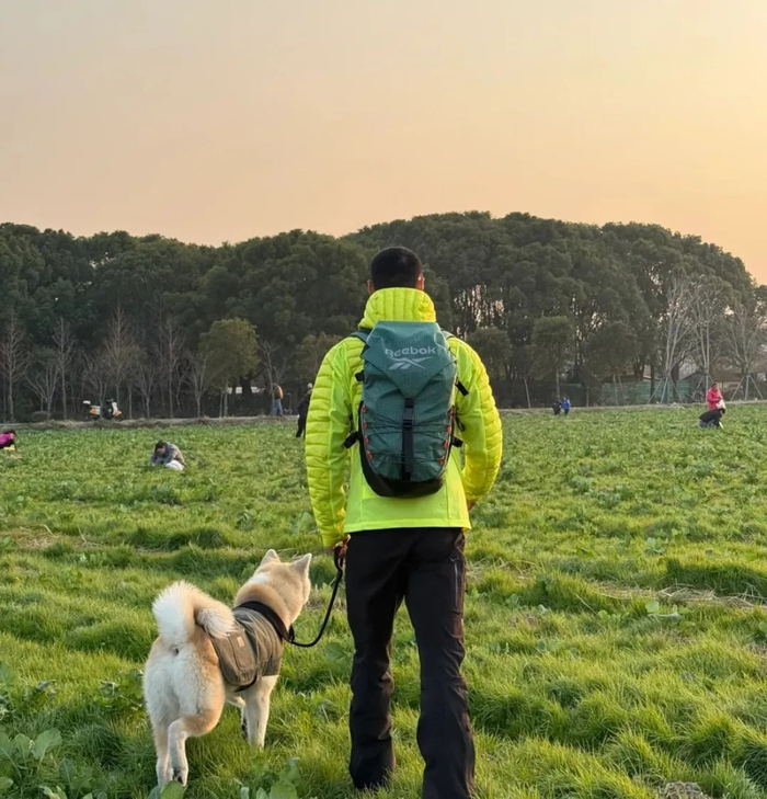 图源：洪宇涛Tao