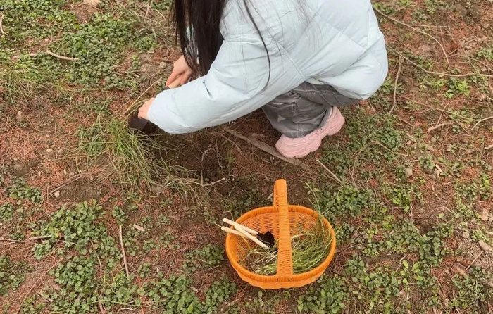 图源：小屁羊&大头轩（沪漂版）