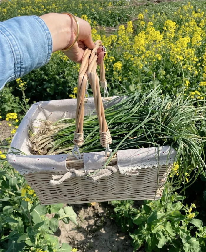 图源：马小会豪宅咨询