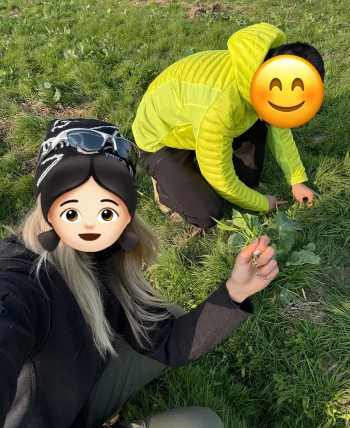 图源：洪宇涛Tao