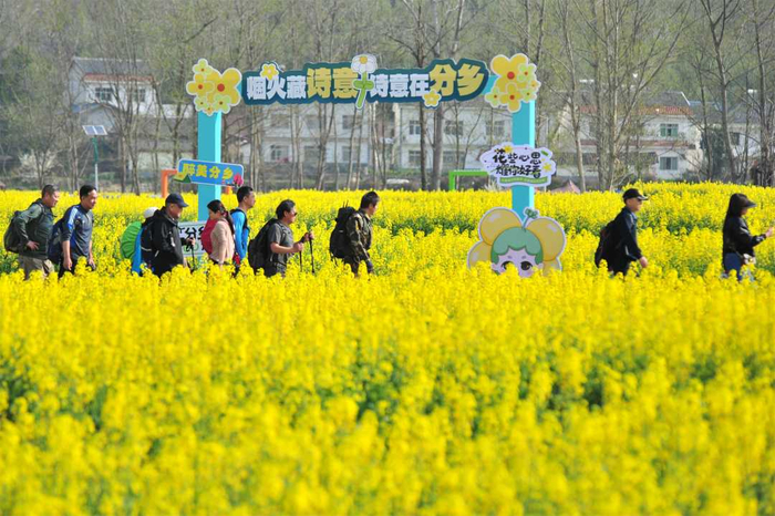 3月22日，“缤纷四季 乡约夷陵”分乡镇2025年“畅游金色花海 共绘和美丰景”乡村旅游季启幕。张国荣摄