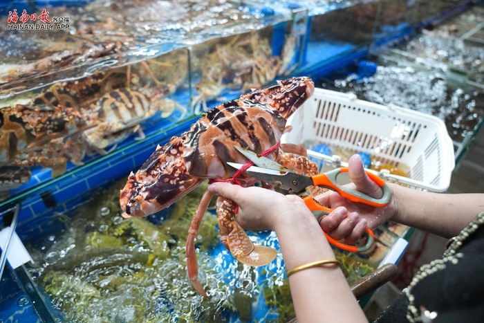 　新鸿港海鲜美食广场，店铺工作人员对海鲜产品上带有重量的绳子进行更换。海南日报全媒体记者 王程龙 摄