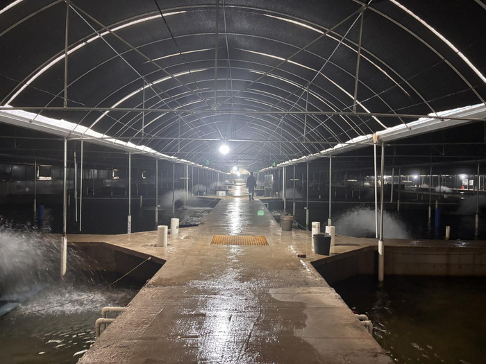 图为平南县广西龙曼科技有限公司鳗鱼基地的恒温养殖池。