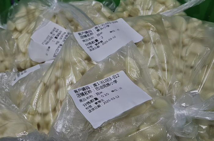 贵州三穗，根据学校需求分装的蒜瓣