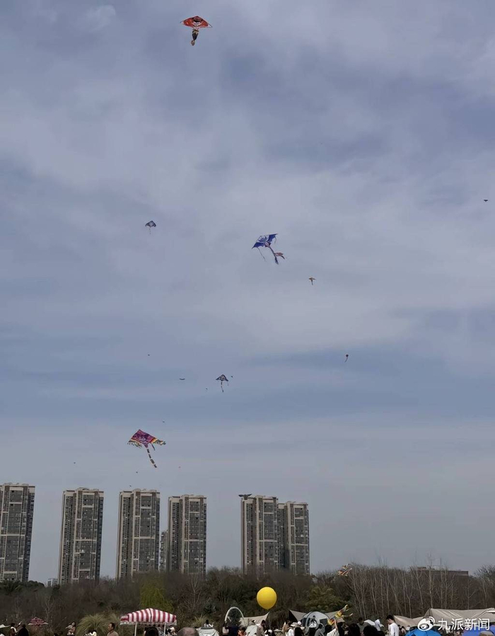 △事发当天青龙湖公园空中有大量风筝