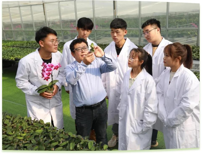 潍坊工程职业学院科技创新团队为花卉行业从业者作蝴蝶兰杂交选育技术指导。学校供图