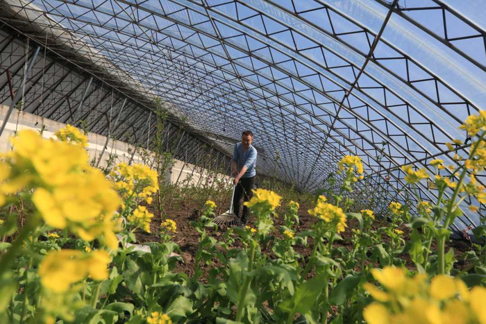 村民正在管理林果新品种。时秀霞摄