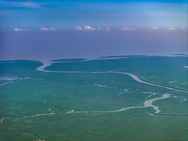 图 | 崇明东滩湿地 
