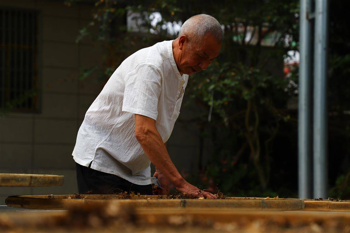 2021年9月16日，杨顺爱整理晒干的草药。