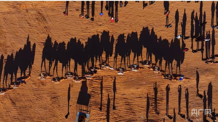 阿拉善盟骆驼文化那达慕大会现场（央广网发  敖斯尔  摄）