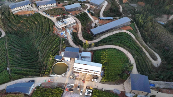 从江粤黔公司龙江香猪养殖基地