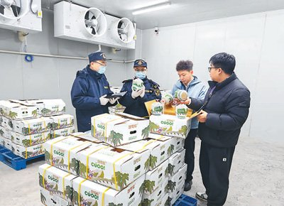 日前，兰州海关所属中川机场海关关员对进口椰子进行查验。成立邦摄