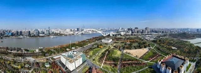 图 | 黄浦江卢浦大桥段 