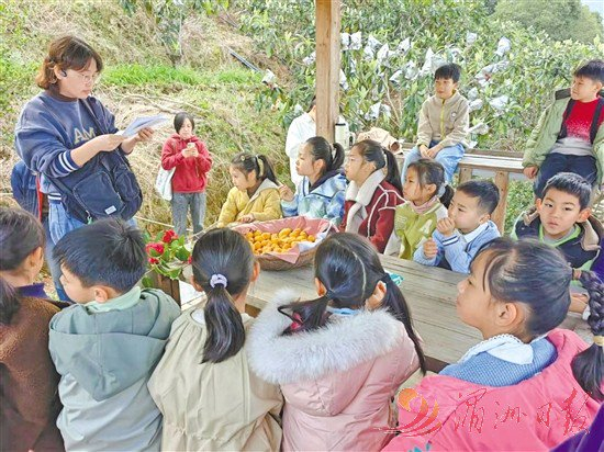 小学生们在枇杷林，开展劳动教育实践活动。