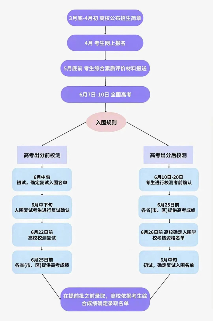 “强基计划”报考流程。图片由AI生成