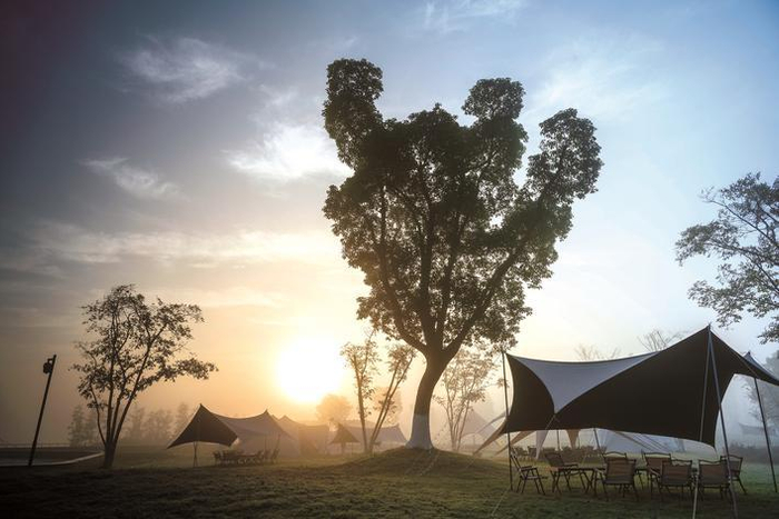 　　嘉兴市新闻传媒中心资料图片（石月平 摄）