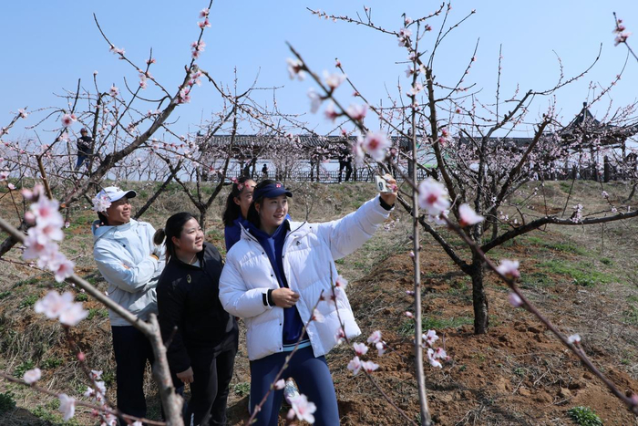 参赛选手走进桃花园，打卡春日盛景。金安区委宣传部供图