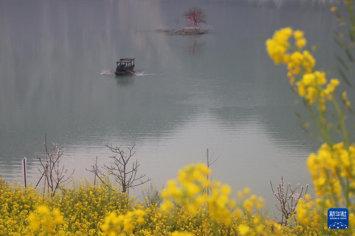 甘肃省陇南市文县玉垒乡境内白水江上，游船缓缓行驶。新华社记者李杰 摄 