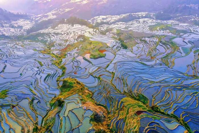 红河哈尼梯田 图/云南省文化和旅游厅宣传推广处提供