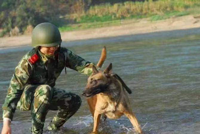 图为2008年民警赵聪和警犬“黑康”在怒江中开展警犬适应水性训练