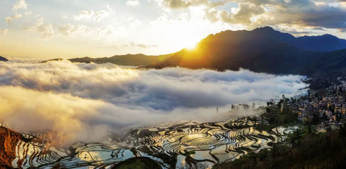 元阳梯田 图/李雨霖