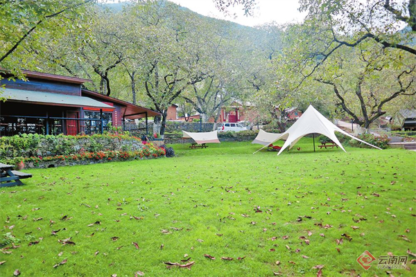 核桃树下的户外休闲场所 李丽 段苏航 摄