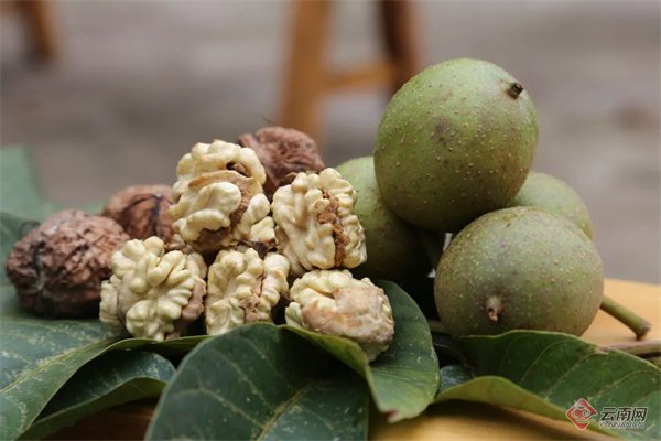 漾濞核桃 大理州委宣传部 供图
