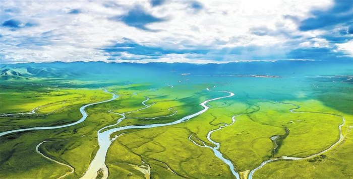 玛曲县阿万仓湿地绿草如茵，湿地与湖泊相映。裴正琪