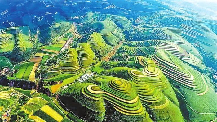 环县樱桃掌村梯田。李芳义