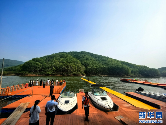 望天树景区风景（3月25日摄）。新华网 和新兰 摄