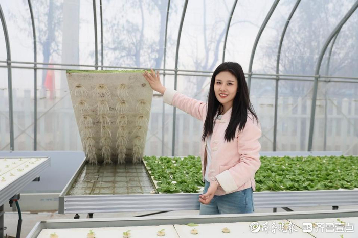 曹子榆在她的“智慧大棚”中讲解水培蔬菜