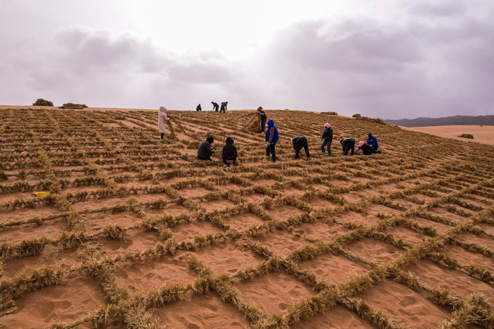 一片片草方格在腾格里沙漠铺展开来。