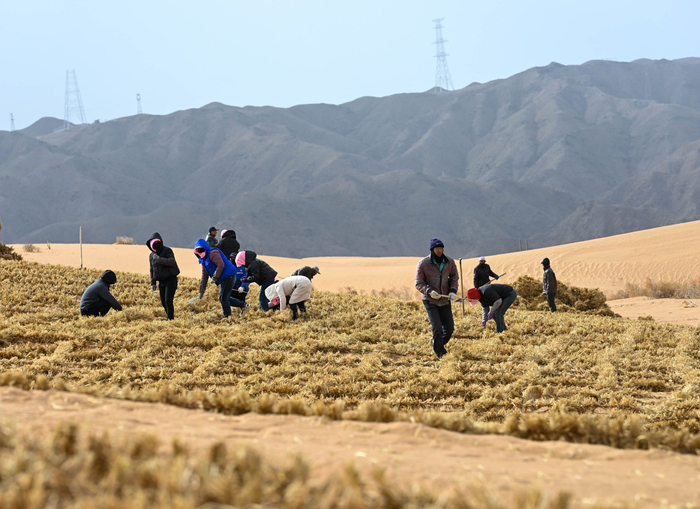 工人们几人一组默契配合。