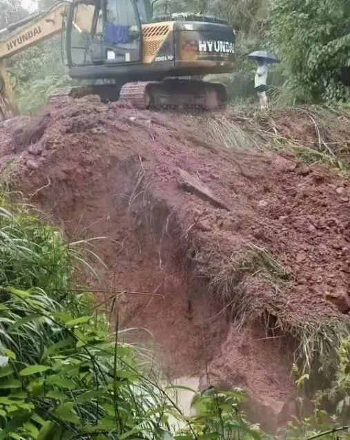 挖机掘堤放水强拆鱼塘