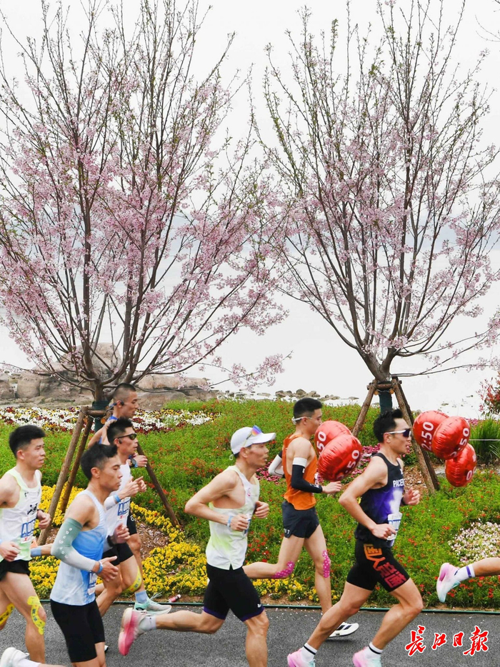  3月23日，汉马选手奔跑在东湖绿道。 长江日报记者高勇 摄