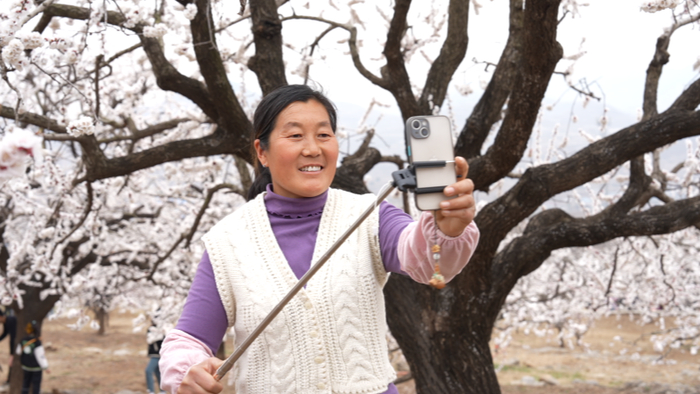 吕玉霞在杏花节拍摄视频