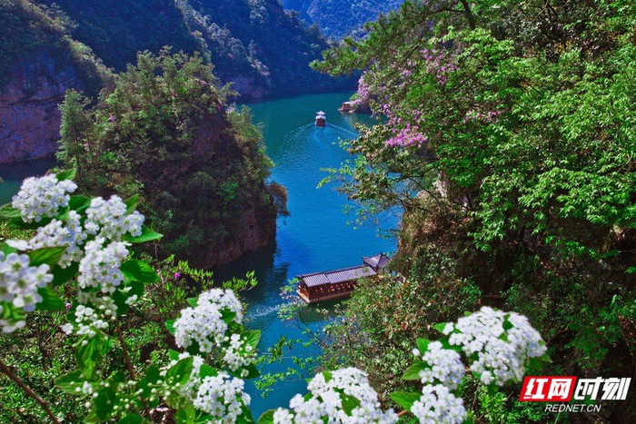张家界宝峰湖的春意。