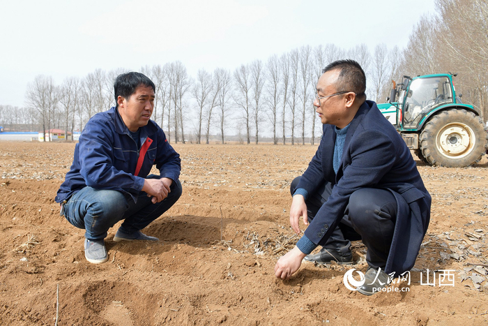农户和许晶（右）在地头交流。人民网记者 焦搏文摄