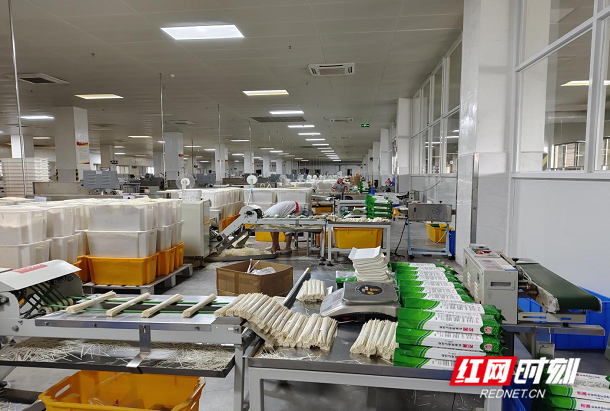 裕湘食品车间扎支组作业。