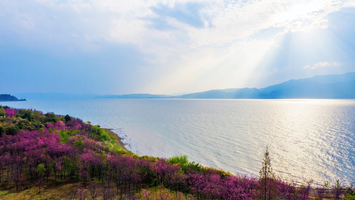 抚仙湖      澄江融媒供图