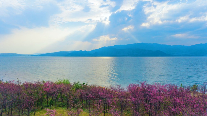 抚仙湖      澄江融媒供图