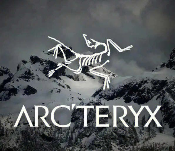 爆火的始祖鸟 图源：始祖鸟官方