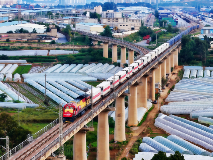 行驶中的中老国际货物列车。人民铁道报驻云南记者站 杨紫轩 摄